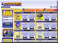 Cyber Bingo Site